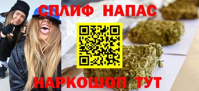 СК Донецк