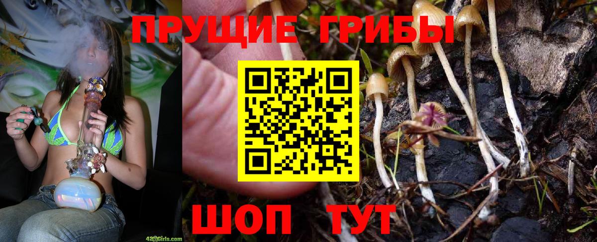 Галлюциногенные грибы GOLDEN TEACHER Лыткарино